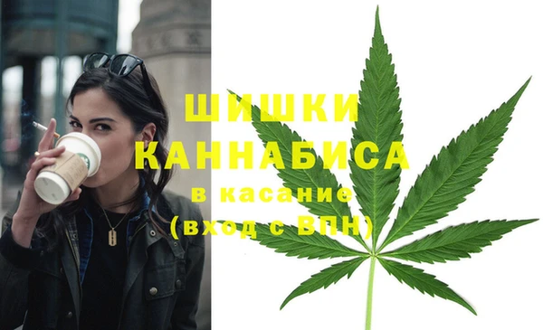 гидра Протвино