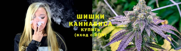 гидра Протвино