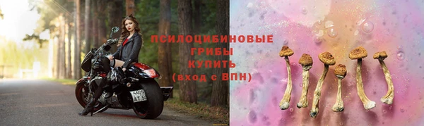 гидра Протвино