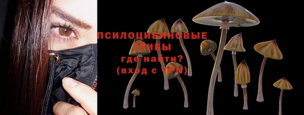 гидра Протвино