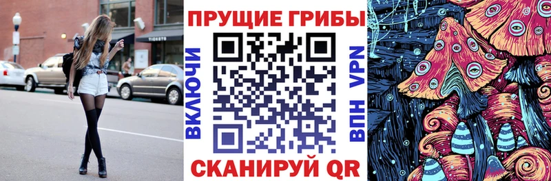 Галлюциногенные грибы GOLDEN TEACHER Холм